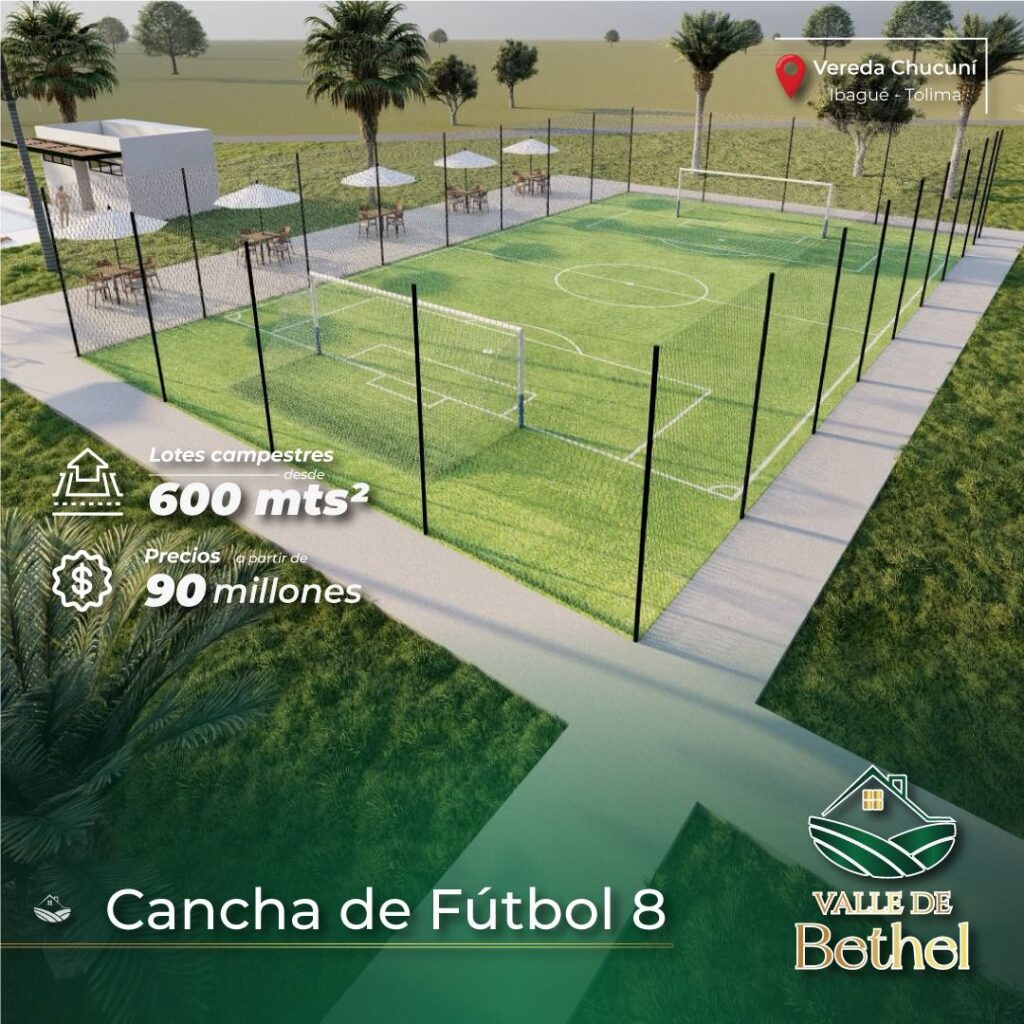 Cancha-Futbol-8-1024x1024